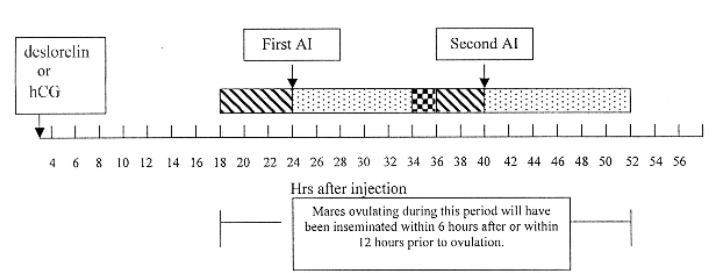 The History of the Timed Insemination Protocol - Graph