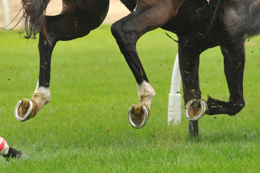 Nutrition for Hoof Health - Racing Hooves