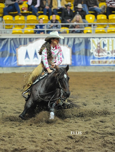 Teresa Russo_2016 Non Pro Gold Cup at NCHA Futurity in Tamworth