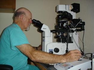 Trends in Equine Repoduction_ICSI Microscope