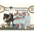 Zips chocolate chip  aqha world champion 1989