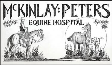 Mckinley and peters equine hospital mod