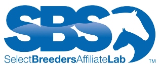 Sbs affiliate notag web. modjpg