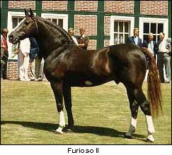 Furioso II