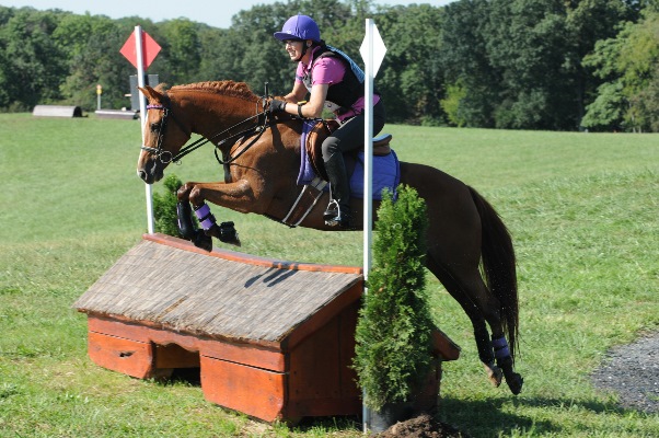 NUOVO Cavallo Pony Adulto Bambino Rider Jumping Dublino ROMA Intrecciato Crop Frusta 65cm 