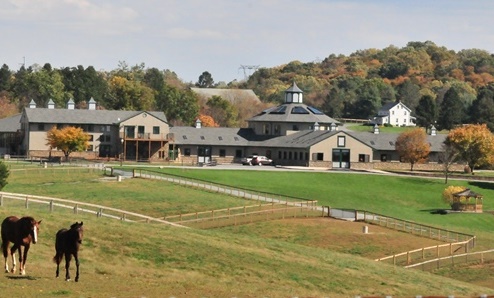 Hilltop Farm_Main Barn 2