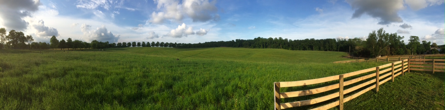 SBS Maryland Recip Field_Panoramic 2