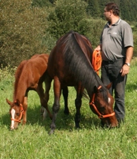 Elegant Rosita foal