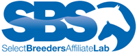 Sbs affiliate withouttag web%20200