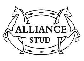 Alliance logo final 200